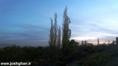 photo_2016-11-20_20-30-57