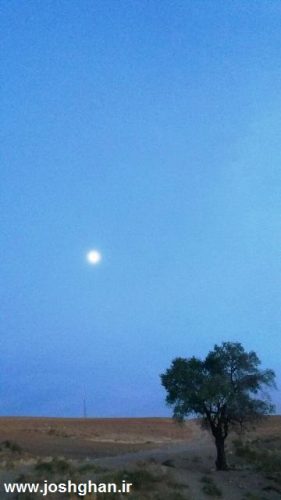 photo_2016-11-20_20-31-04