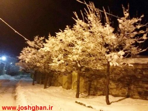 photo_2017-01-28_18-28-44