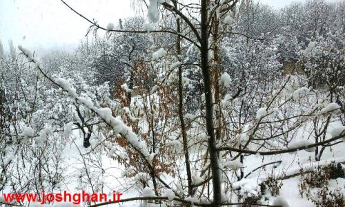 photo_2017-01-28_18-48-22