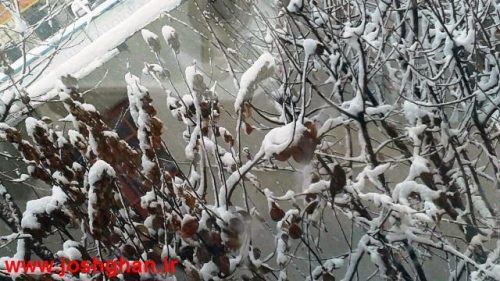 photo_2017-01-28_18-50-20