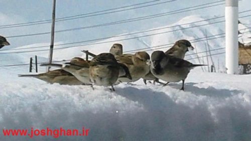 photo_2017-01-29_21-14-35