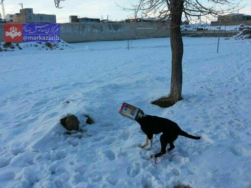 photo_2017-02-08_20-12-46