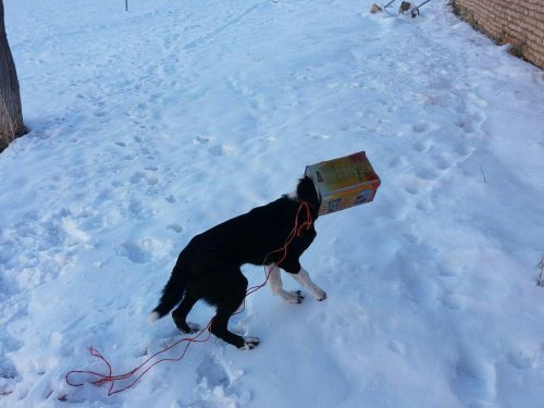 photo_2017-02-08_20-13-44