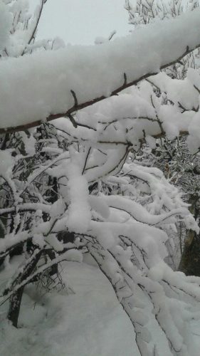 photo_2017-02-10_20-57-26