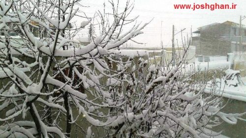 photo_2017-02-13_17-59-32