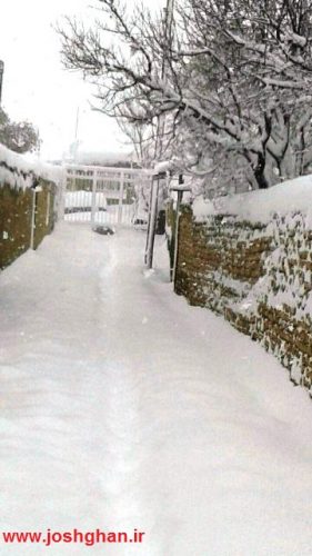 photo_2017-02-13_17-59-39