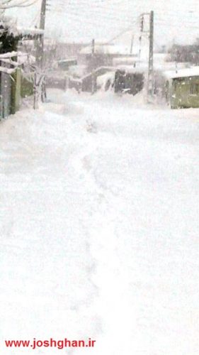 photo_2017-02-13_17-59-48