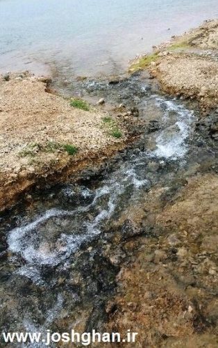 photo_2017-04-02_14-31-51