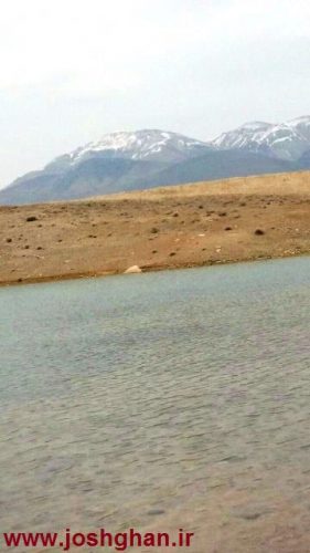 photo_2017-04-02_14-32-13