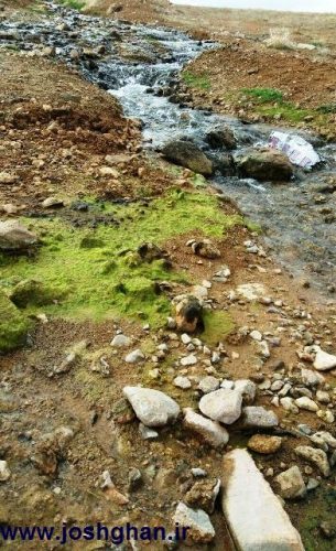 photo_2017-04-02_14-34-15