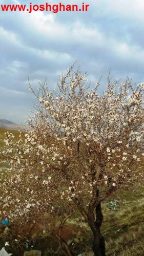 photo_2017-04-02_14-39-06