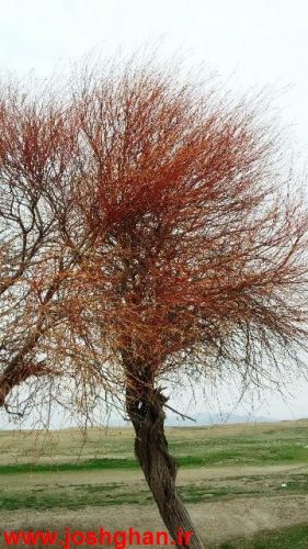 photo_2017-04-02_14-43-00