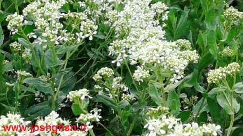 photo_2017-05-07_21-30-26