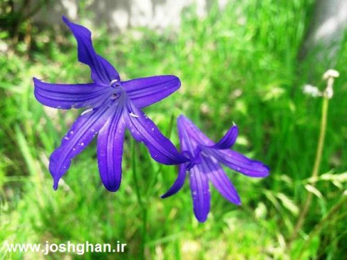 photo_2017-05-07_21-31-01