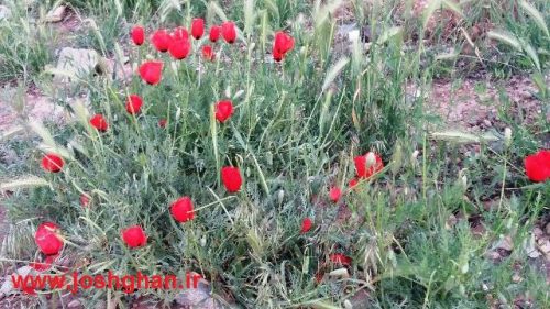 photo_2017-05-07_21-32-06