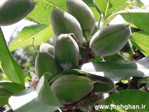 photo_2017-05-07_21-32-46