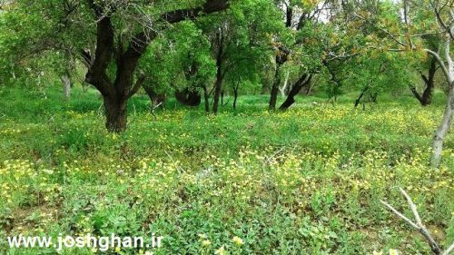 photo_2017-05-07_21-34-24