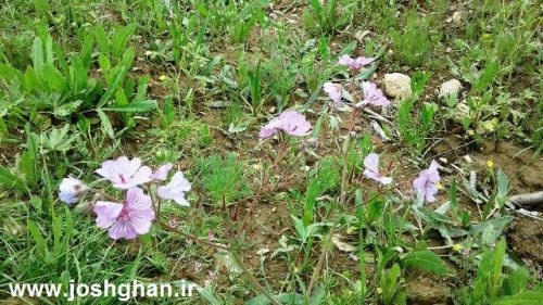 photo_2017-05-07_21-36-21