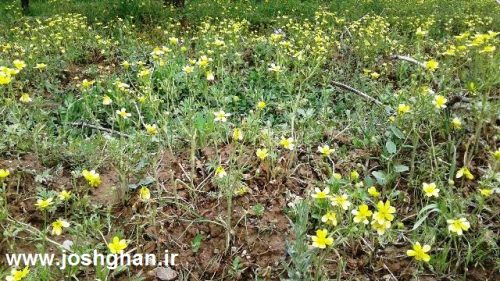 photo_2017-05-07_21-37-03