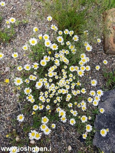 photo_2017-05-07_21-44-59