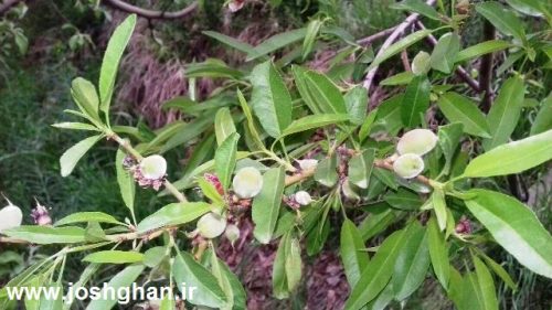 photo_2017-05-07_21-55-28