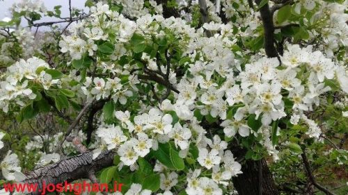 photo_2017-05-07_21-55-52