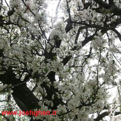 photo_2017-05-07_22-01-02