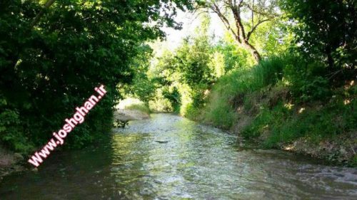 photo_2017-05-30_21-16-20