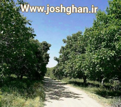 photo_2017-05-30_21-16-57