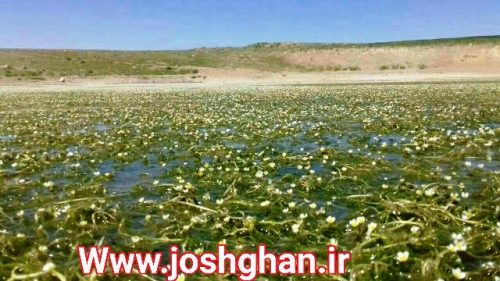 photo_2017-05-30_21-18-26