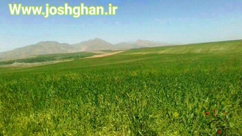 photo_2017-05-30_21-18-41