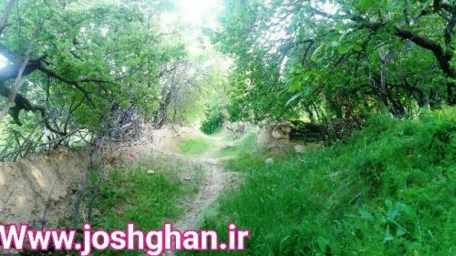 photo_2017-05-30_21-18-53