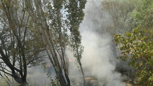 photo_2017-09-24_20-34-45