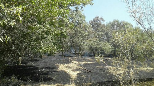 photo_2017-09-24_20-35-11