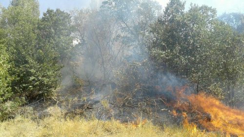 photo_2017-09-24_20-42-18