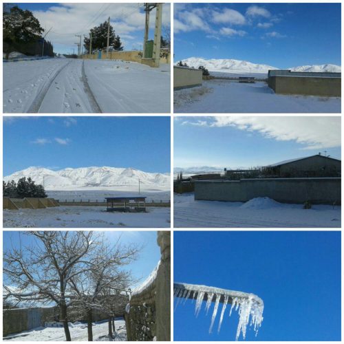 photo_2017-12-08_21-25-44