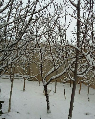 photo_2018-01-20_22-47-55