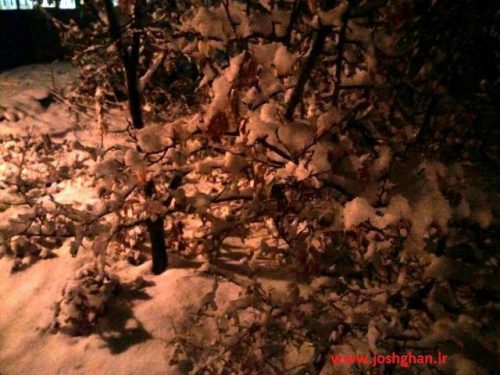 photo_2018-01-20_22-48-39