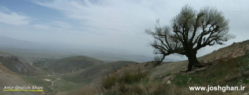 ارتفاعات شاهزاده مسلم