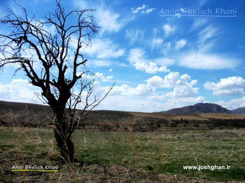 تصویر برگزیده- حسن آباد