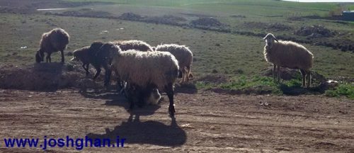 ۲۰۱۶۰۴۲۱_۰۸۵۳۴۷