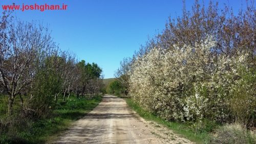 ۲۰۱۶۰۴۲۱_۰۹۱۳۲۶